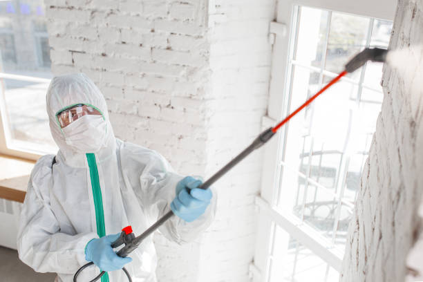 Best HVAC Mold Inspection and Cleaning  in Marmora, NJ