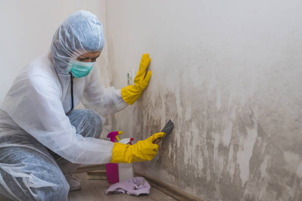 Best Mold Remediation for Vacation Homes  in Marmora, NJ