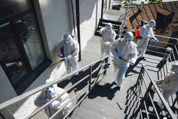 Best Mold Remediation for Healthcare Facilities  in Marmora, NJ