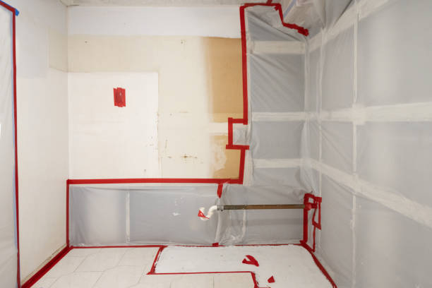 Marmora, NJ Mold Removal Company