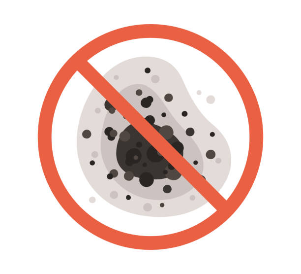 Best Real Estate Mold Inspection  in Marmora, NJ