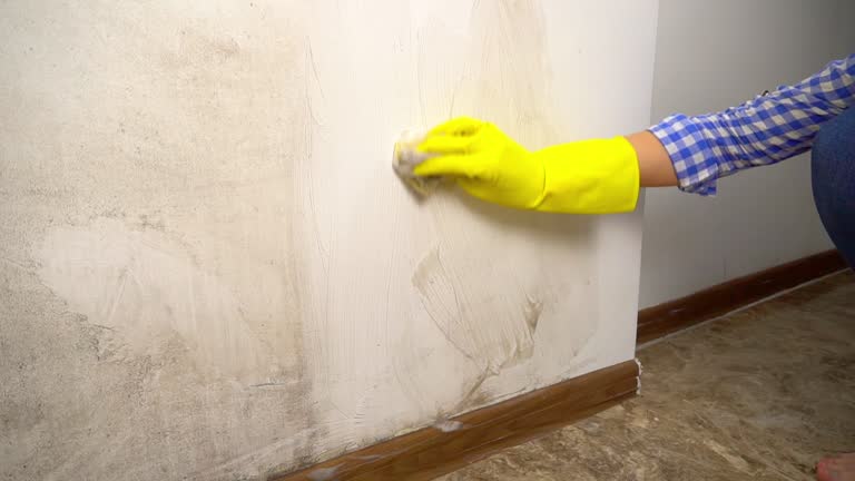 Best Mold Documentation for Insurance Claims  in Marmora, NJ