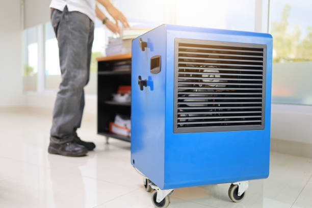 Best Airborne Mold Testing  in Marmora, NJ